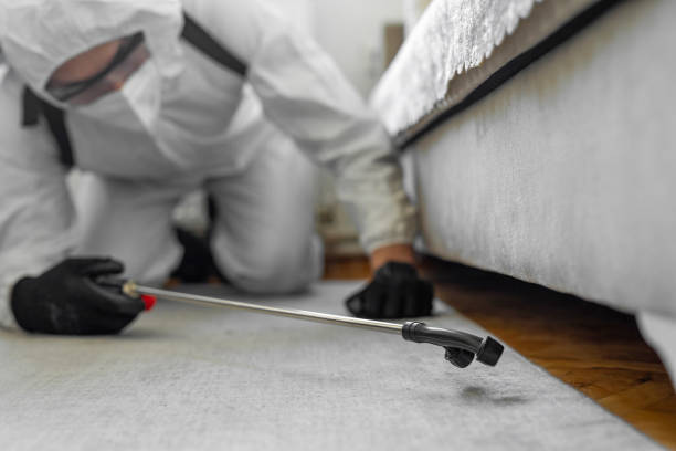 Professional Bed Bug Control technician working in Tioga, TX